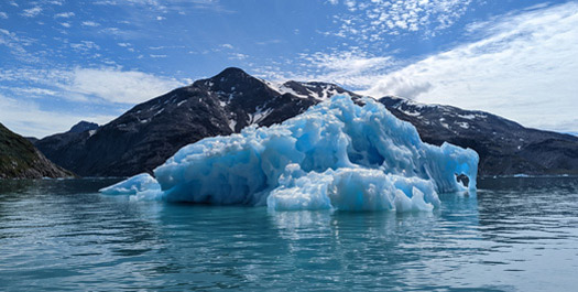 Southern Coast of Greenland - Day 3-4