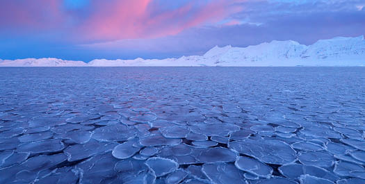 Into The Ice