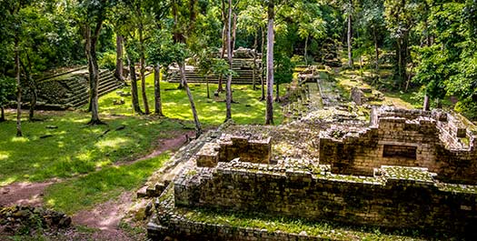 Copan Ruins & Sculpture Museum