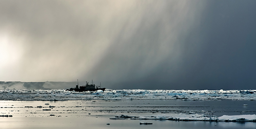 Exploring the Weddell Sea - Day 4 to 6